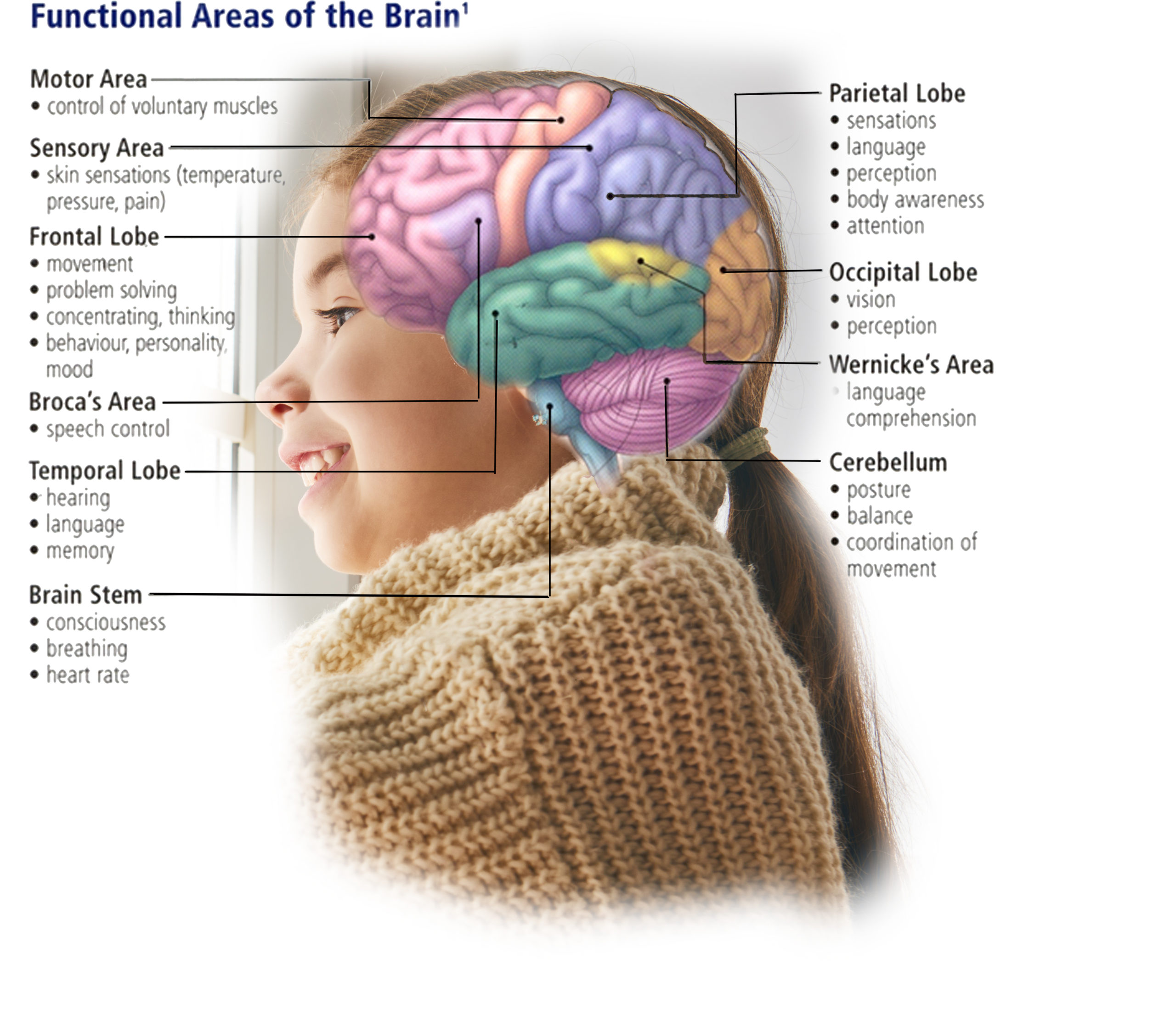 music-s-effects-on-brain-development-work-play-love