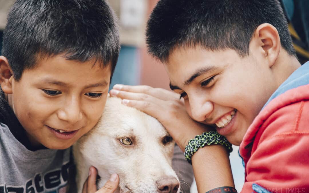 Two boys from the Mama Cleo's Boys Home orphanage spend time connecting with a dog